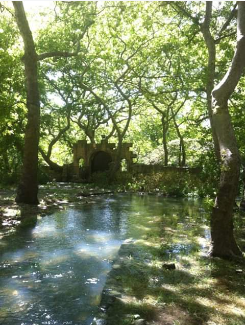 Al-Fawwar spring and surrounding greenery